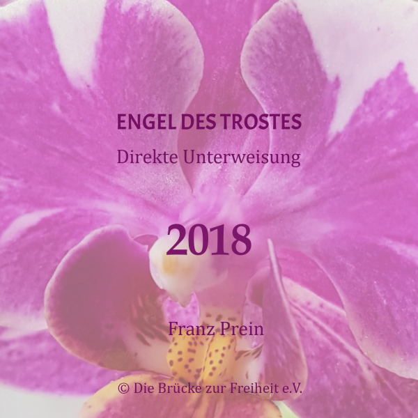 CD Komplettset 5 – Bild 3